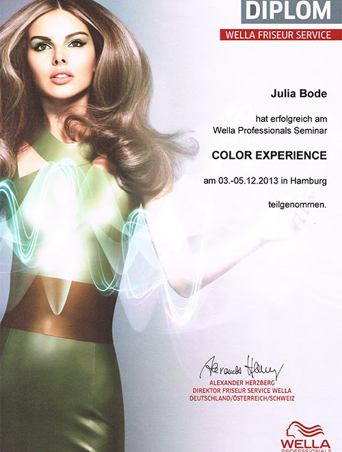 Diplom Wella Color Experience von Julia Bode